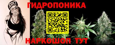 дживик Кунгур
