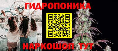 дживик Кунгур