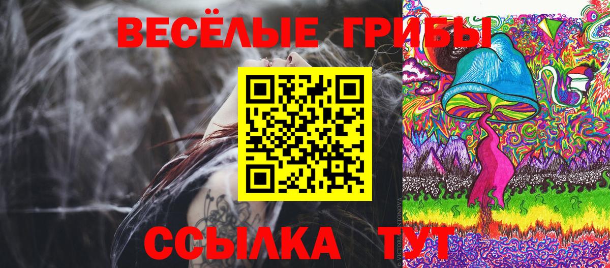 Псилоцибиновые грибы ЛСД Заволжье